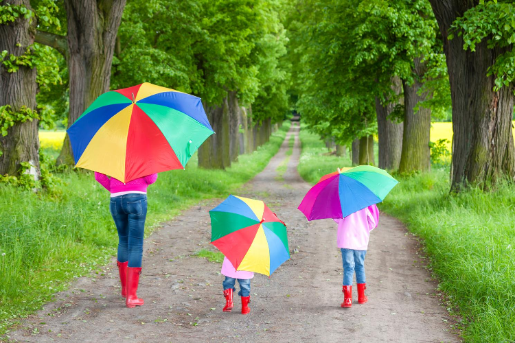 umbrella insurance coverage